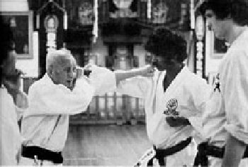 wado-goju2.jpg