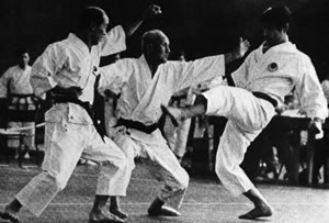 suzuki otsuka fujii.jpg